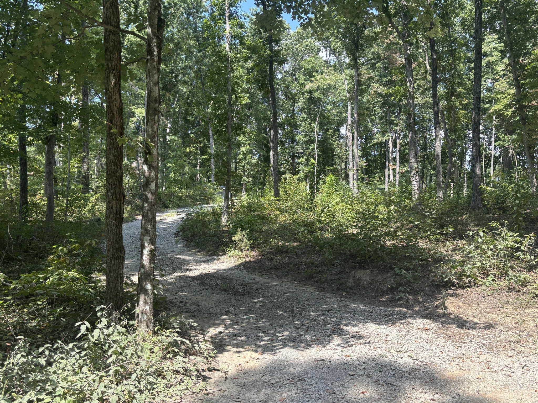 37 Valley Loop Property Photo 1