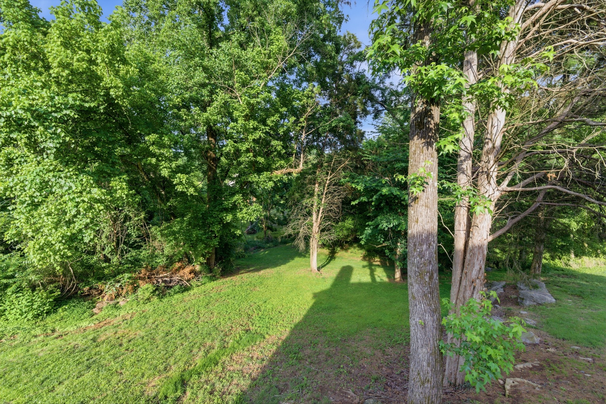 5259 Rustic Way Property Photo 11