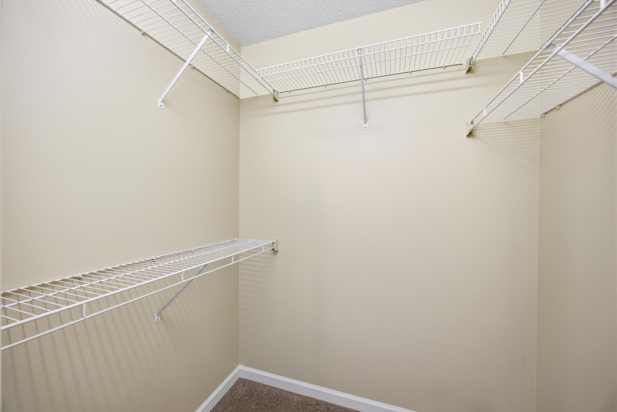 6821 Benwood Drive Property Photo 21
