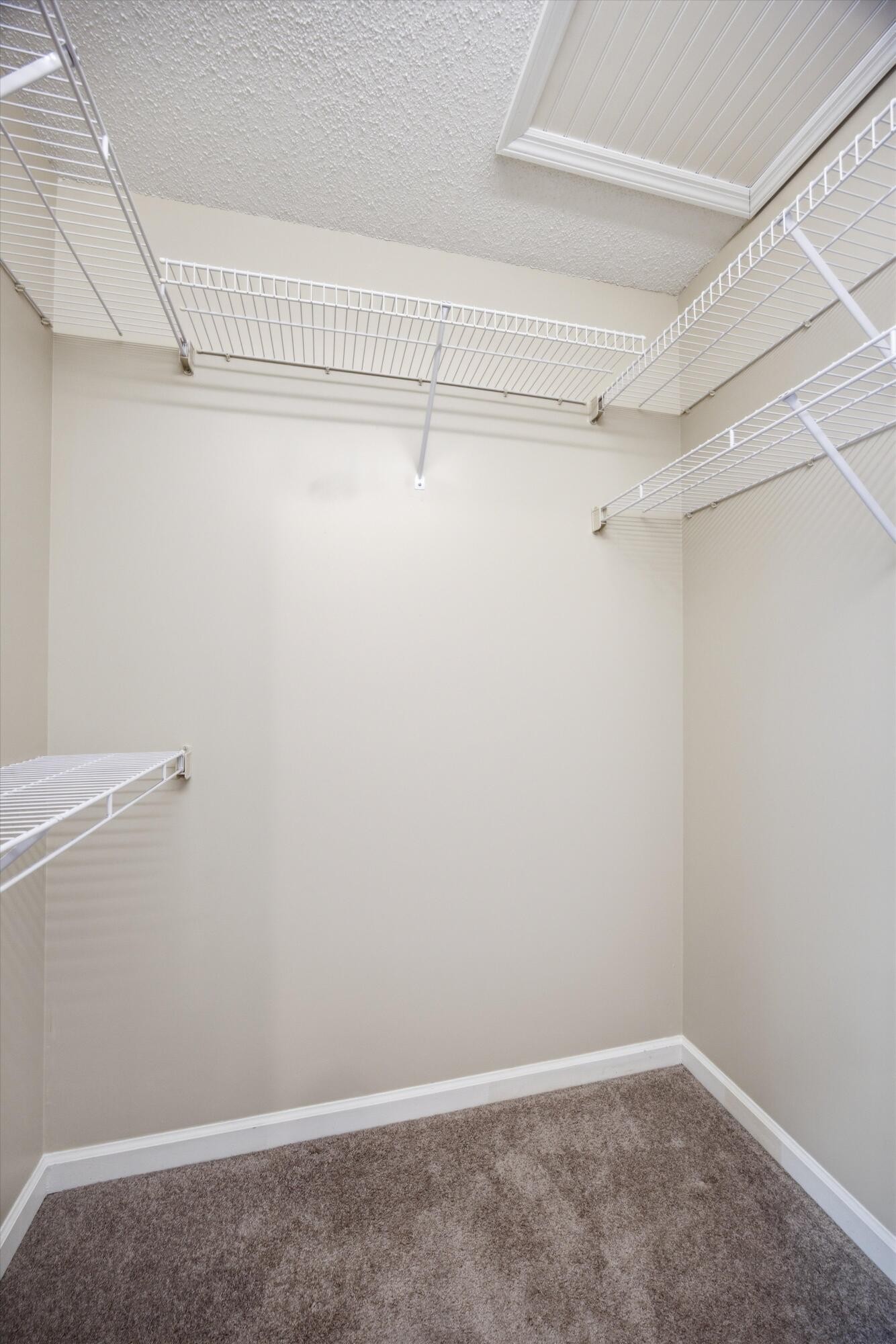 6821 Benwood Drive Property Photo 22