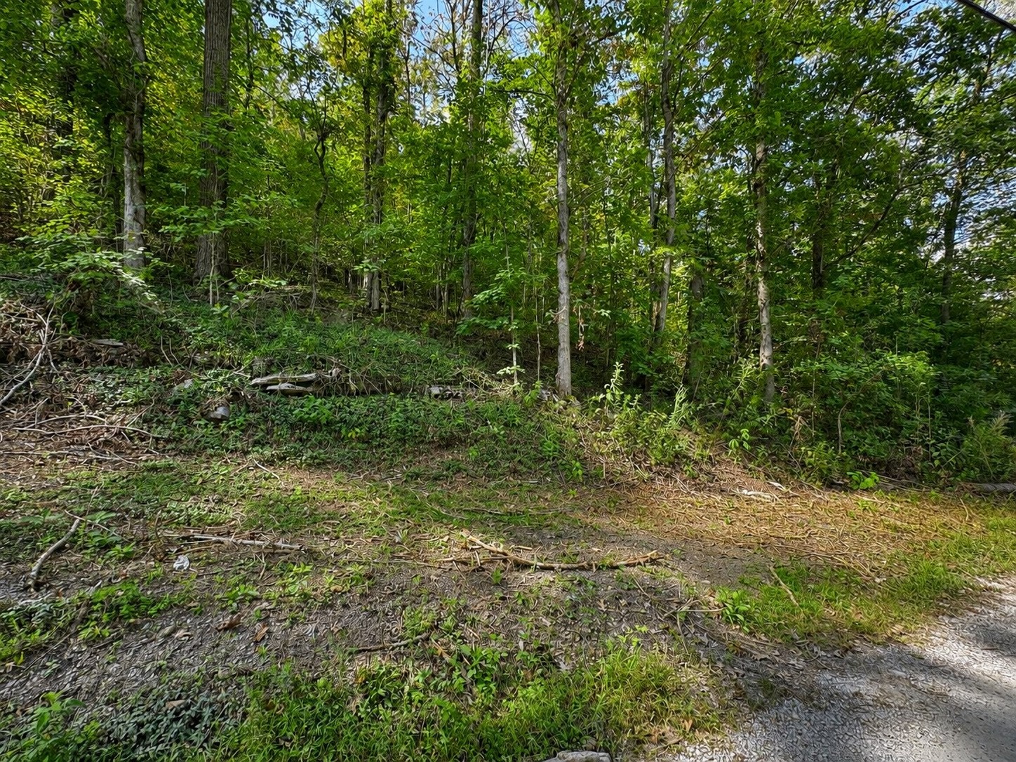 0 Halls Hill Rd Property Photo 3