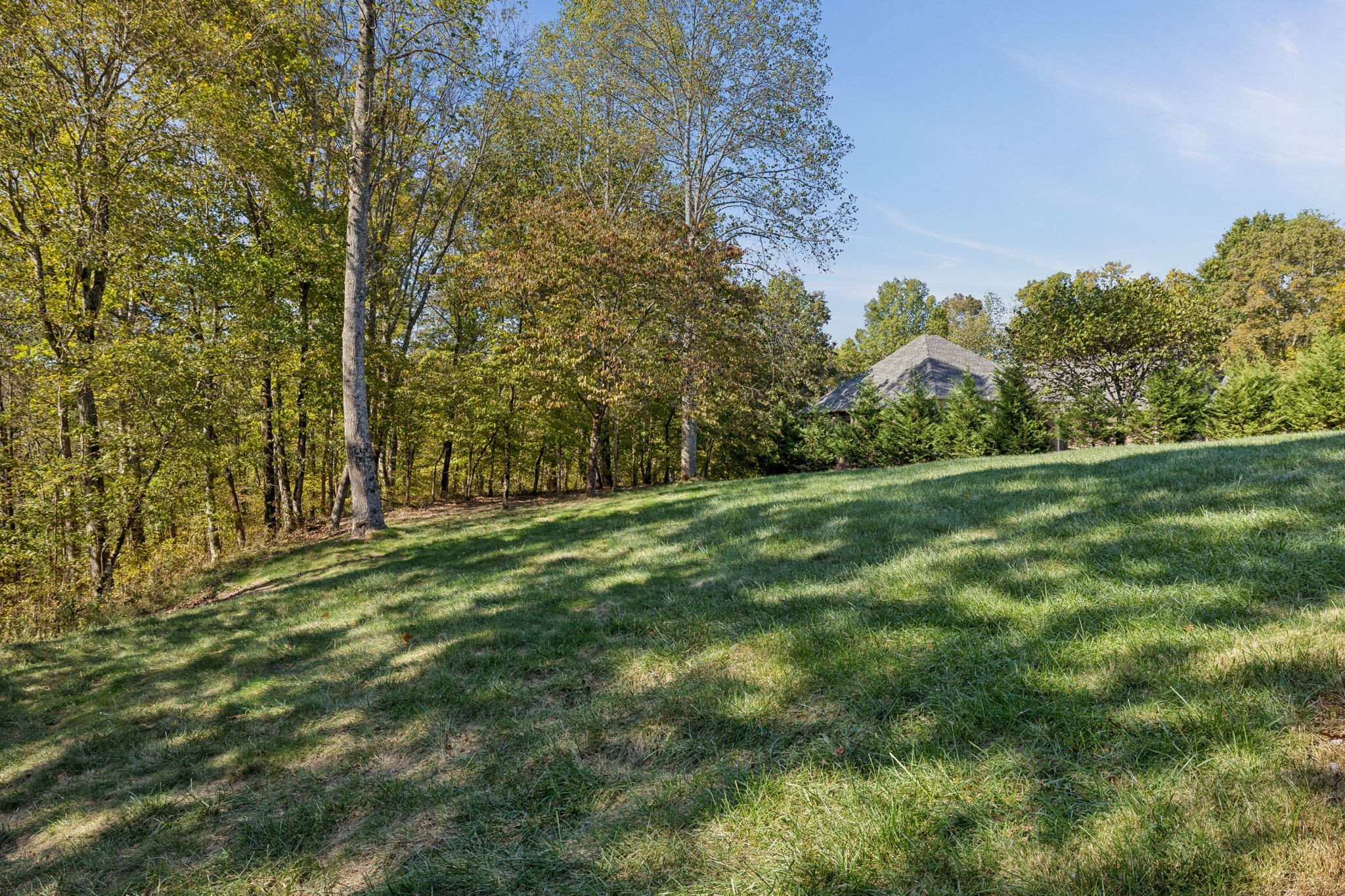 1365 Seymour Dr Property Photo 59