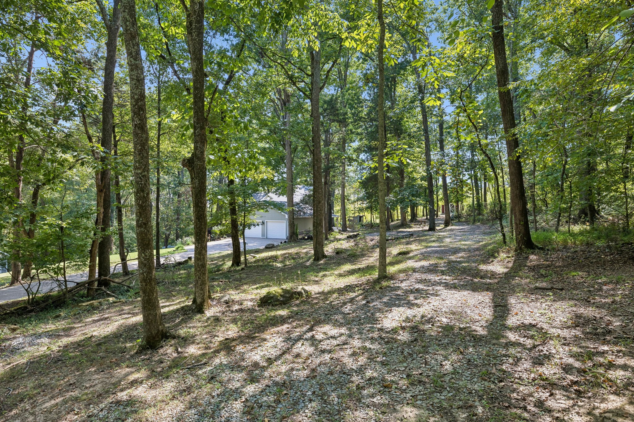 5831 Cane Ridge Rd Property Photo 6