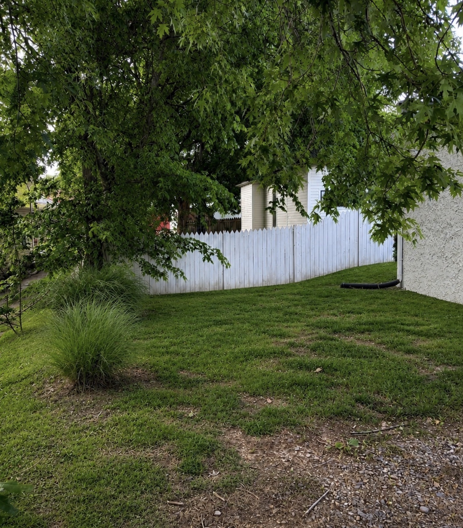 206 W College St Property Photo 6