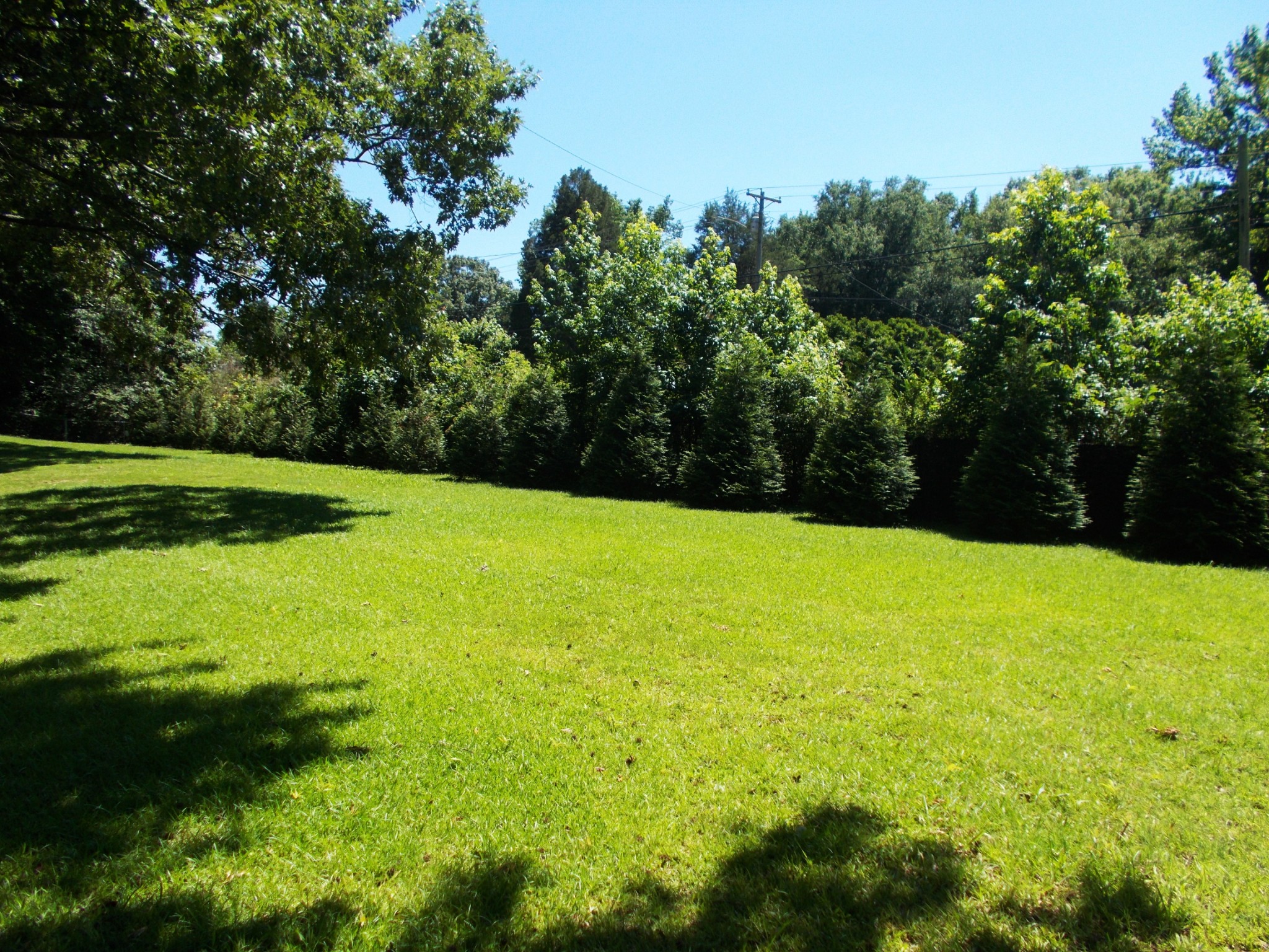 110 Asbury Cir Property Photo 43