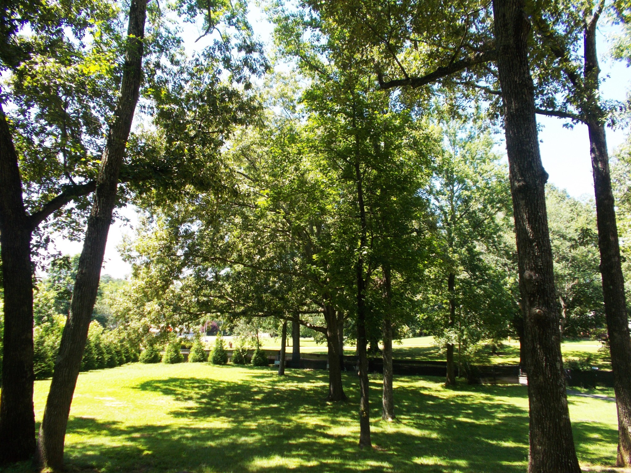 110 Asbury Cir Property Photo 51