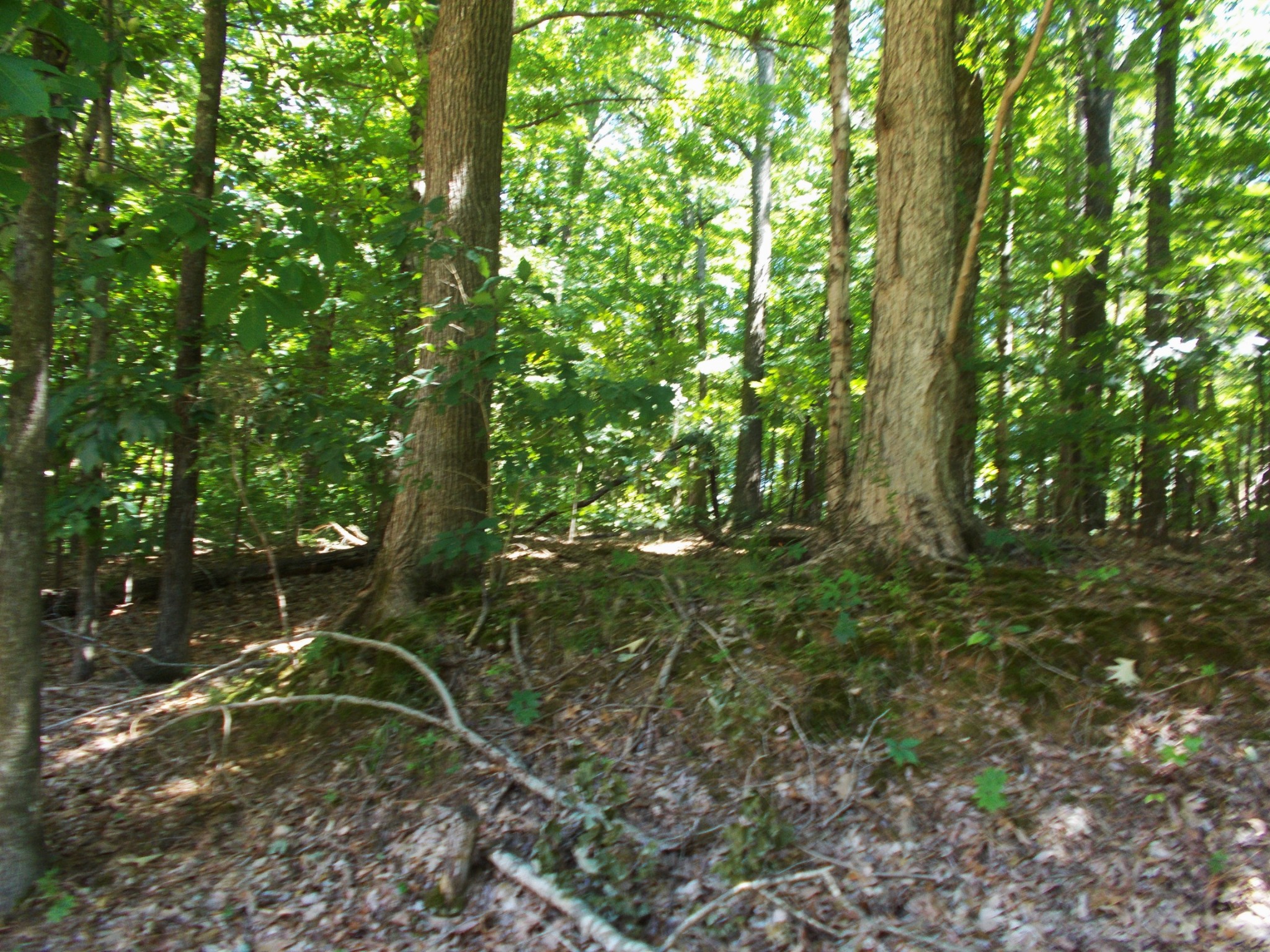 110 Asbury Cir Property Photo 60