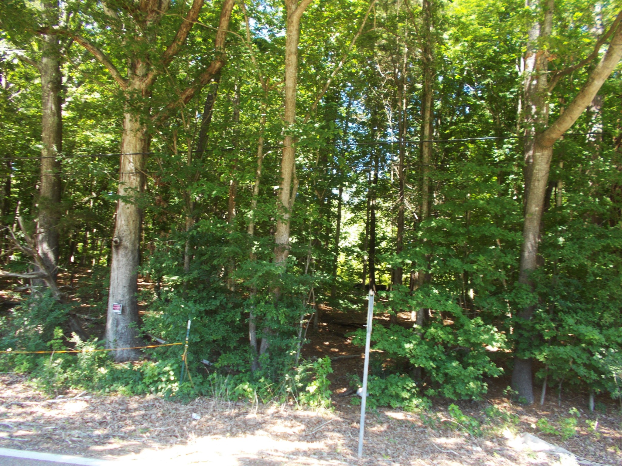 110 Asbury Cir Property Photo 61