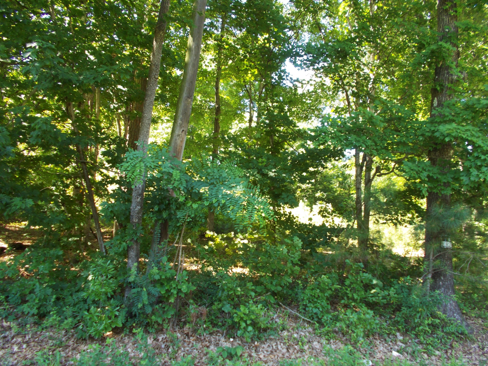 110 Asbury Cir Property Photo 63