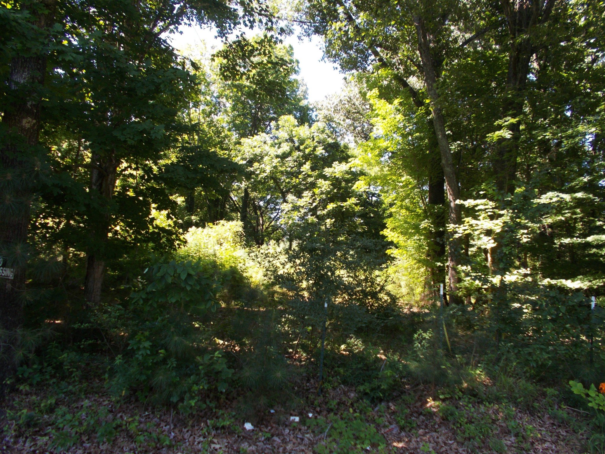 110 Asbury Cir Property Photo 64