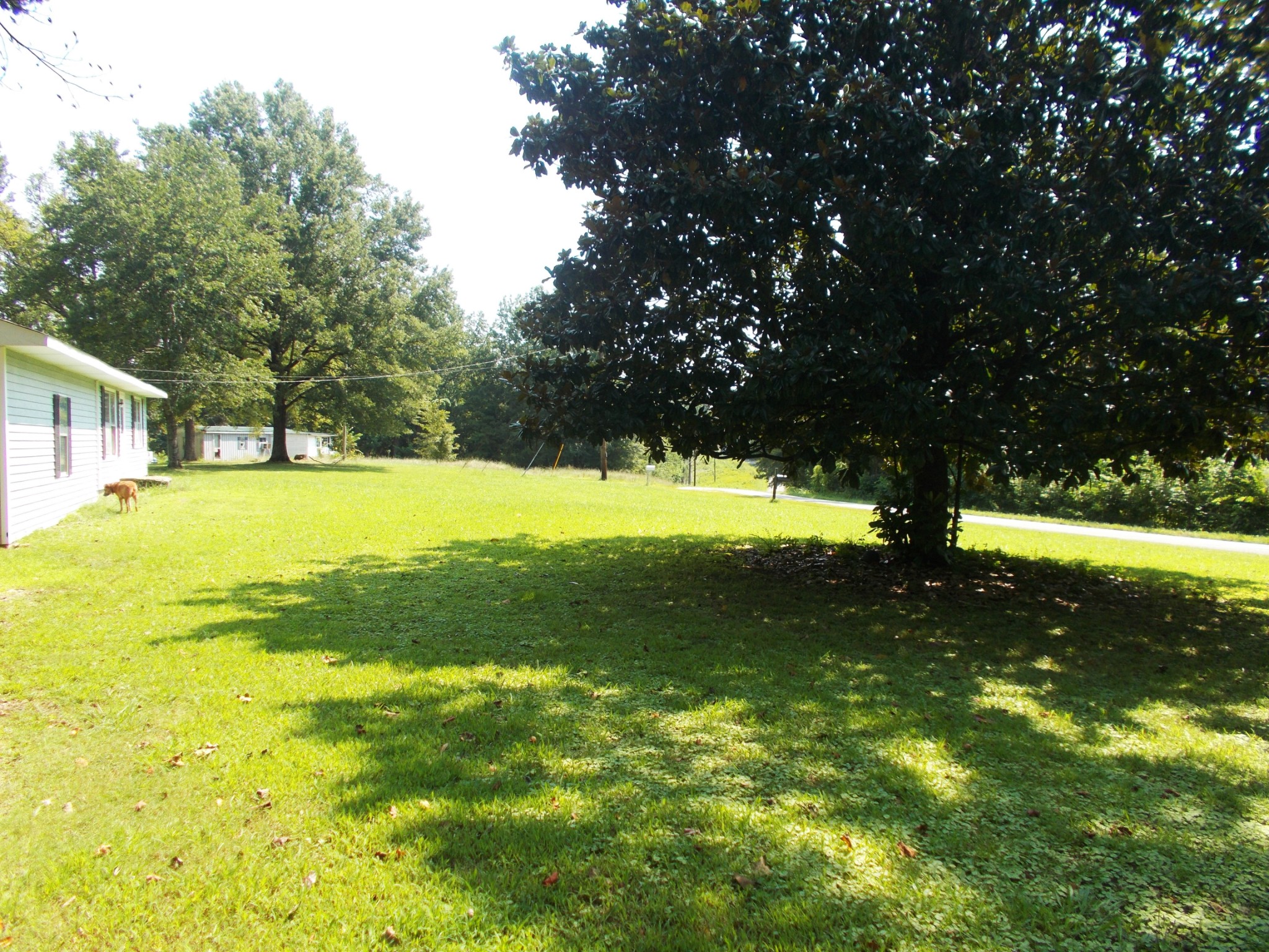 1955 Roundhouse Rd Property Photo 21
