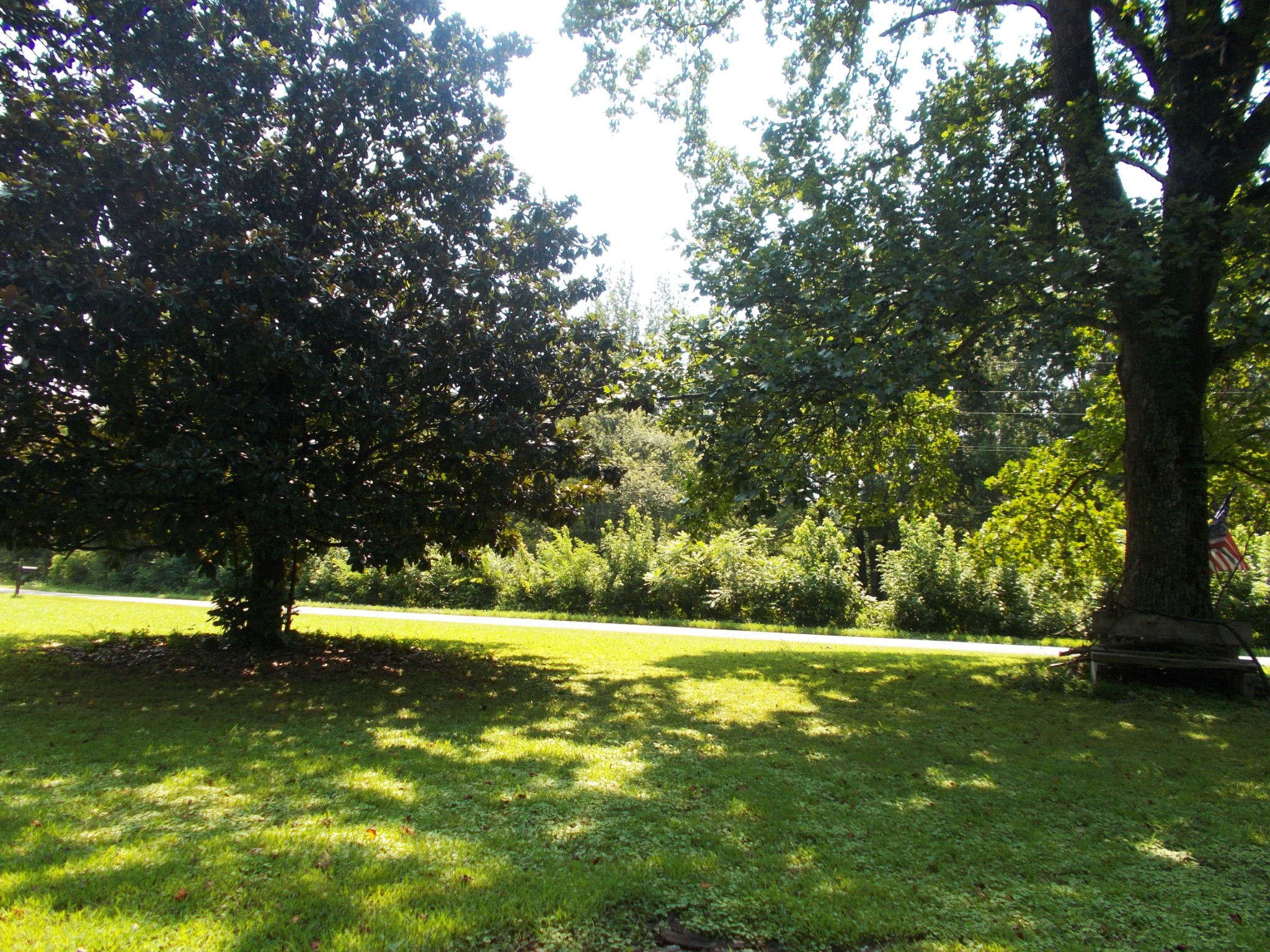 1955 Roundhouse Rd Property Photo 22