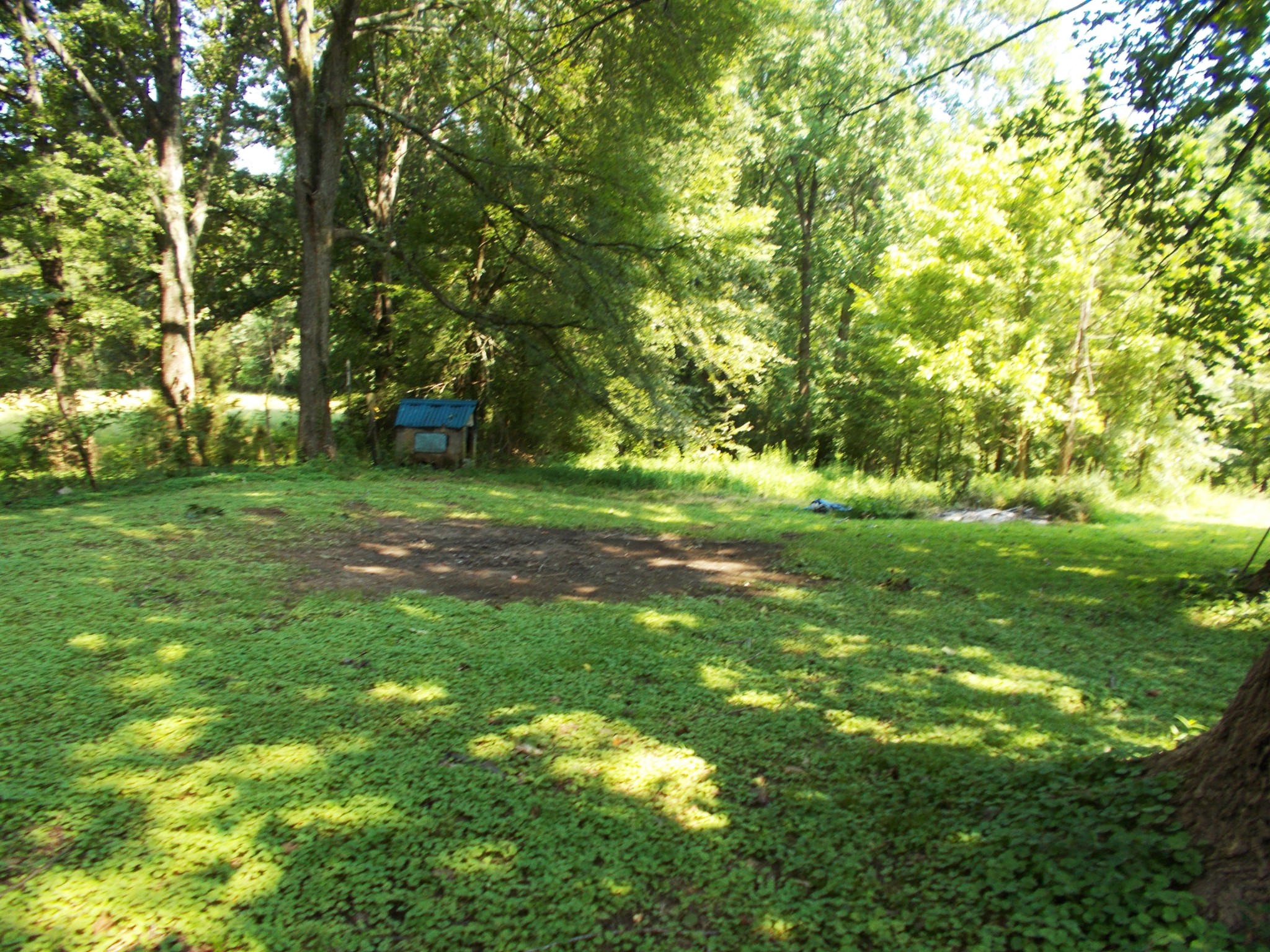 1955 Roundhouse Rd Property Photo 25