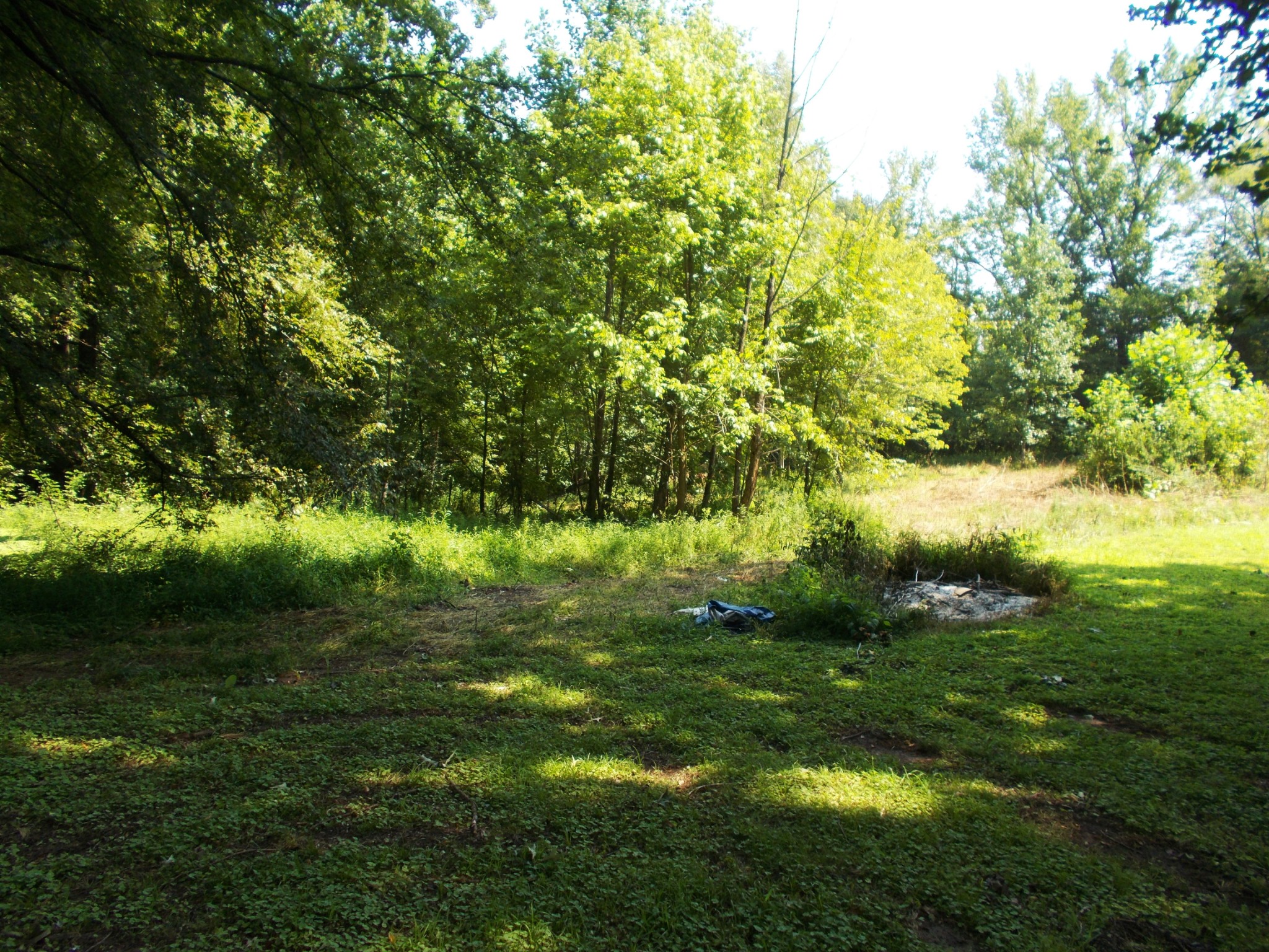 1955 Roundhouse Rd Property Photo 27
