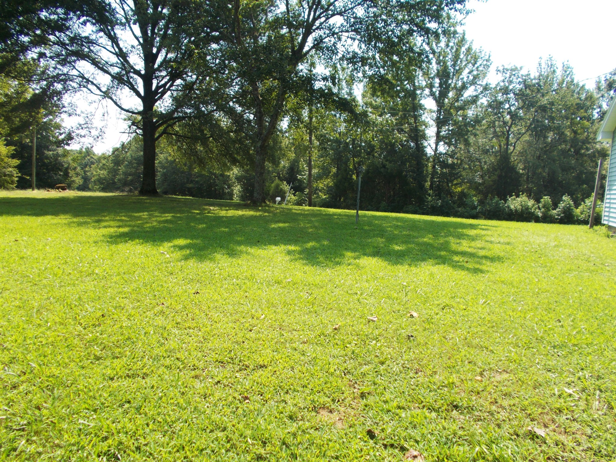 1955 Roundhouse Rd Property Photo 28