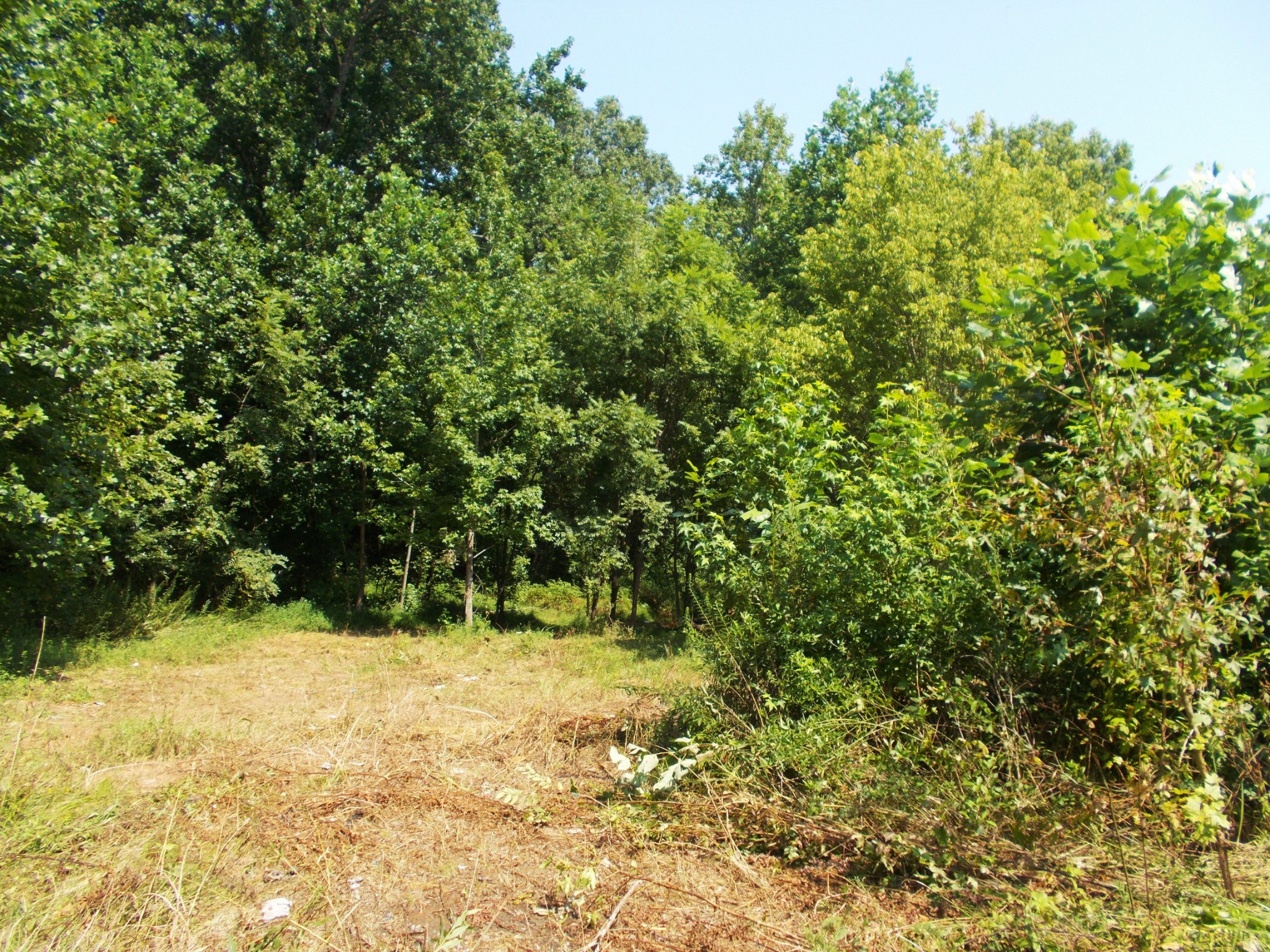 1955 Roundhouse Rd Property Photo 29