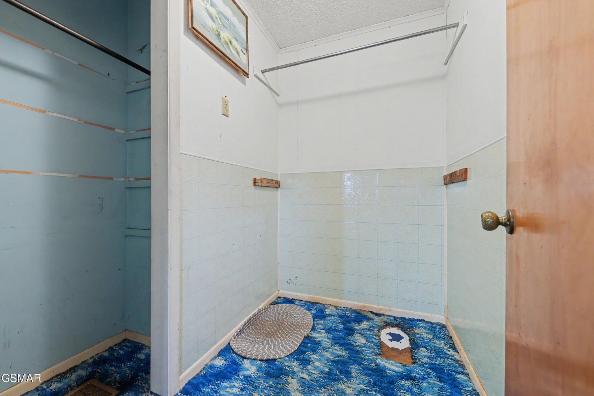 311 Shag Road Property Photo 18