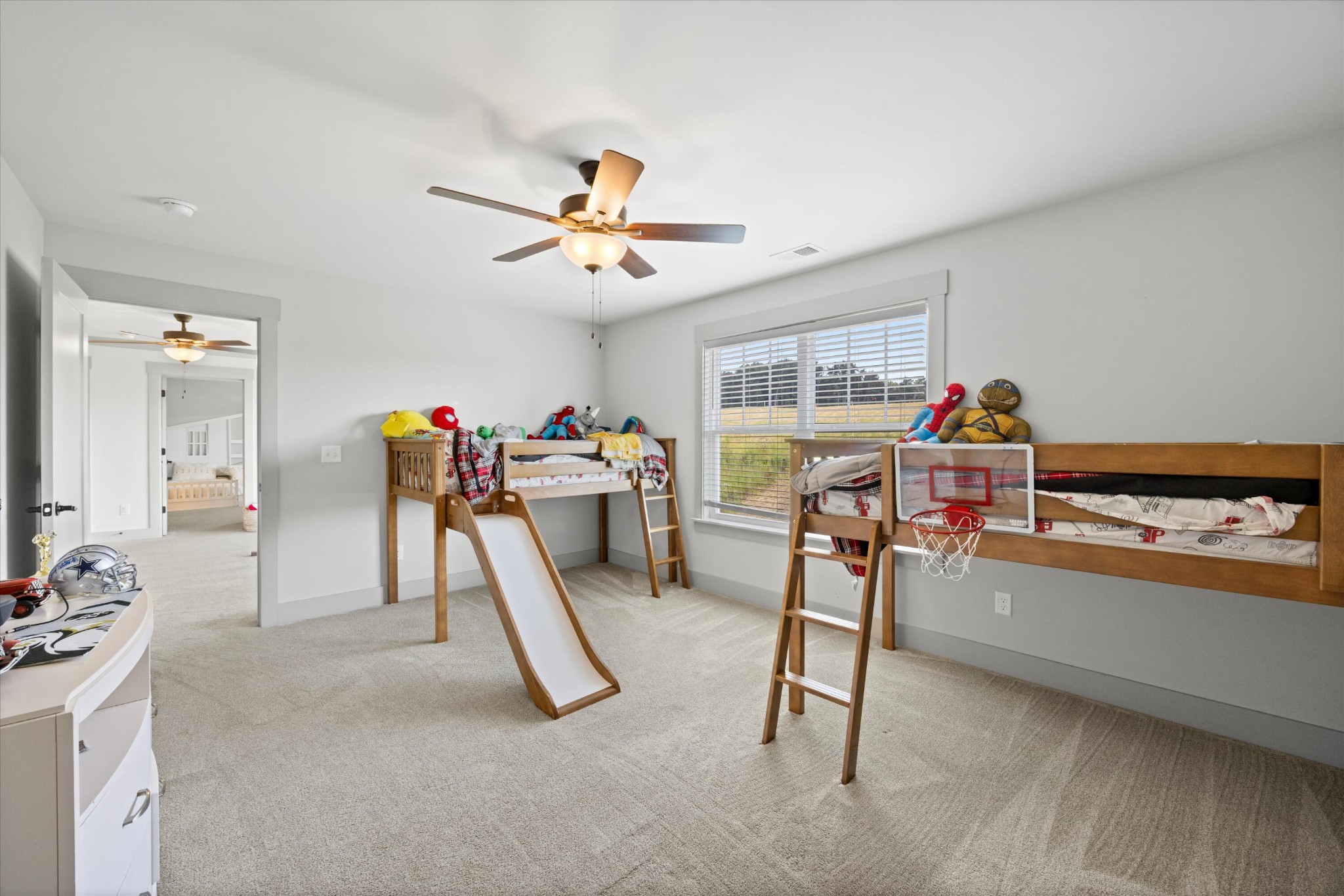 10623 Flicker Way Property Photo 33