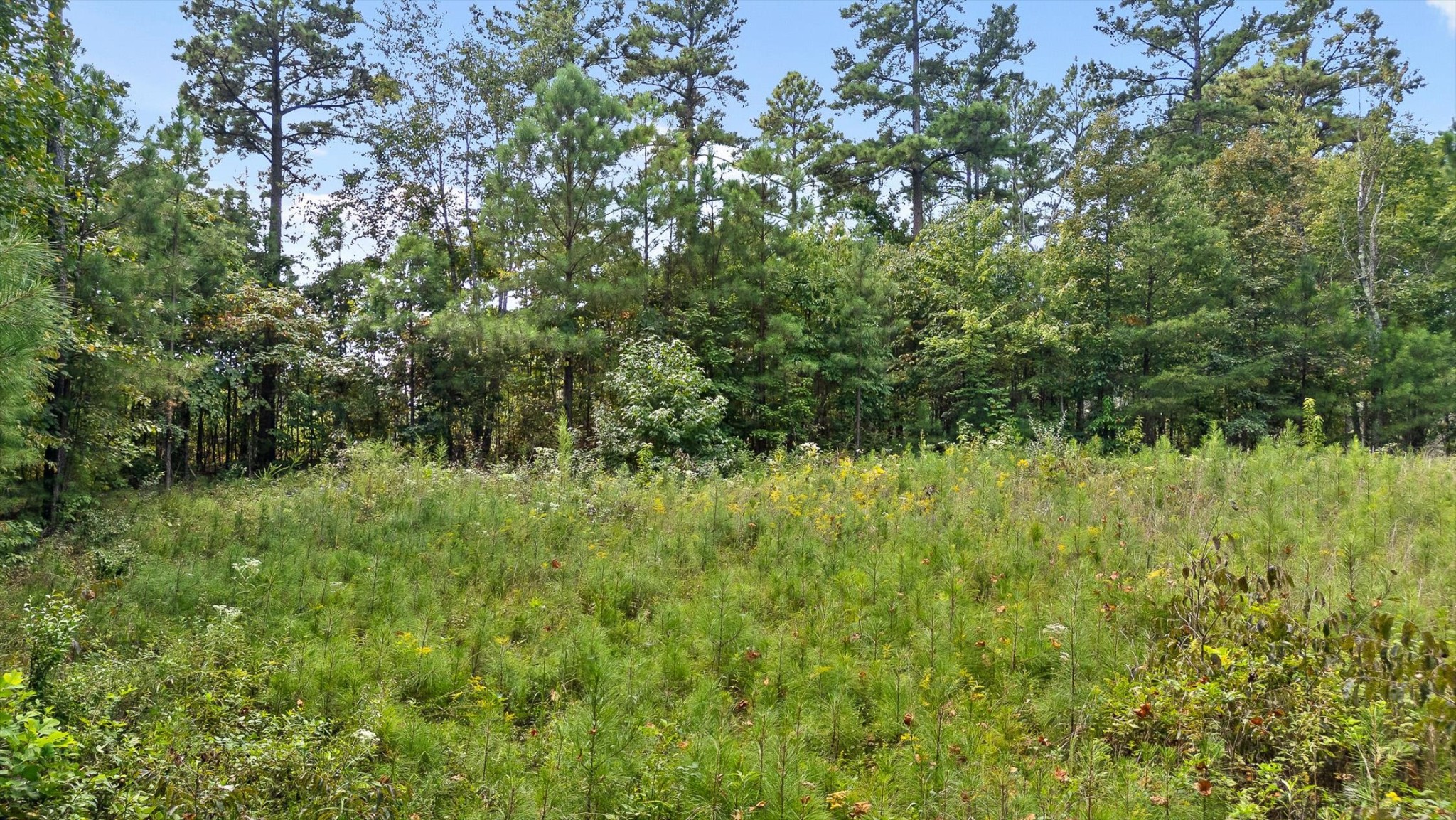 0 Big View Rd Property Photo 5