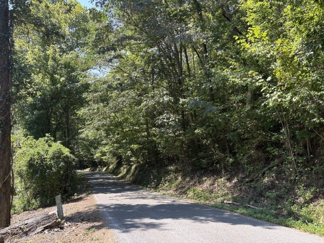 1274 Childers Creek Rd Property Photo 19