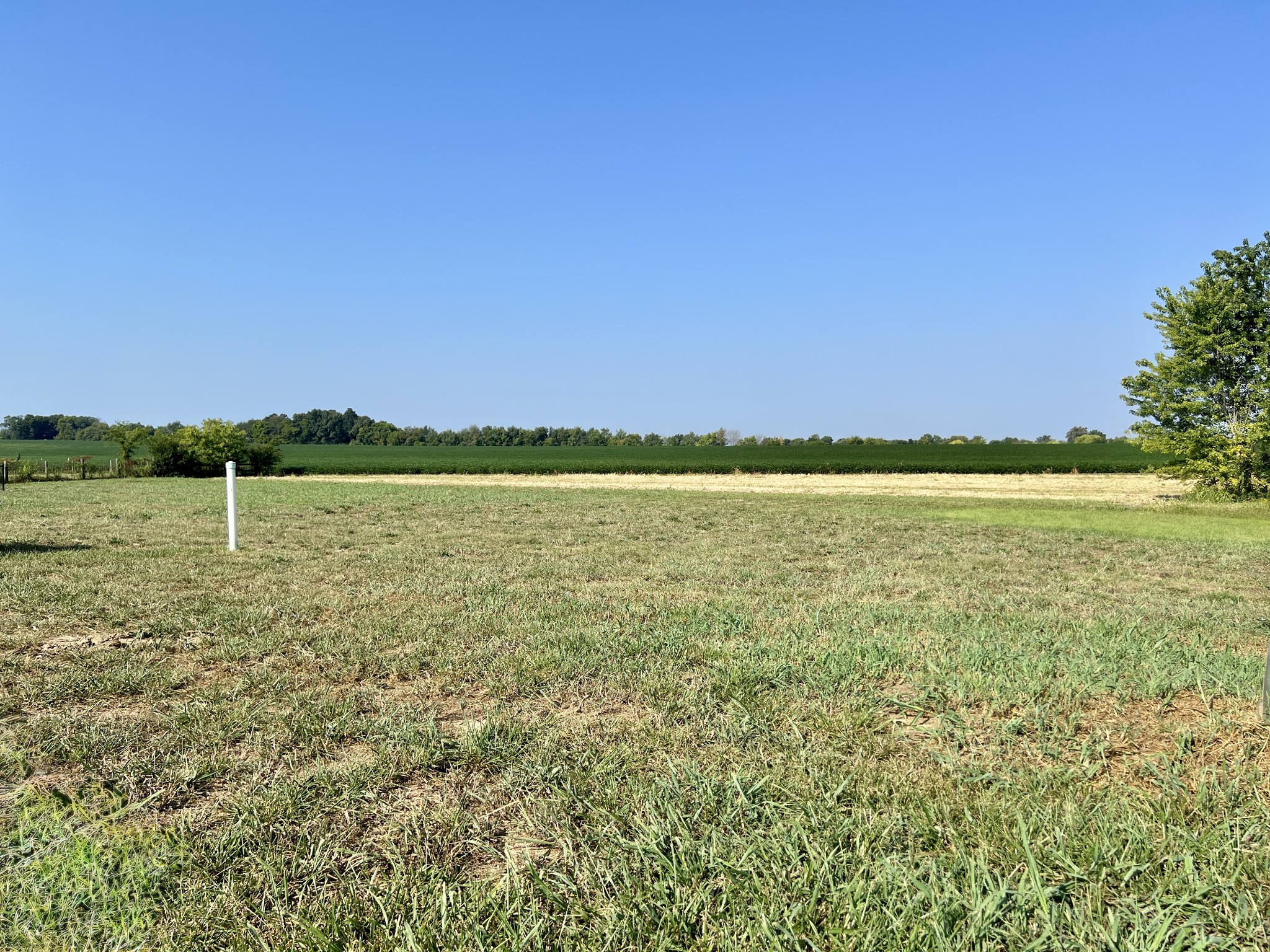 1119 Brook Court Property Photo 1