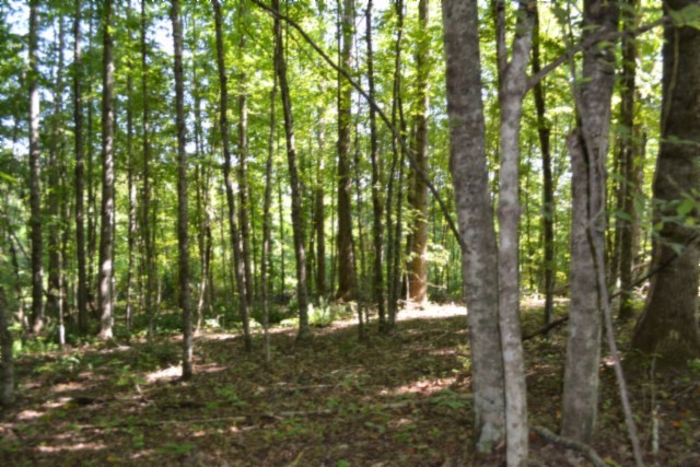 3 Ac Rock Springs Rd Property Photo 1