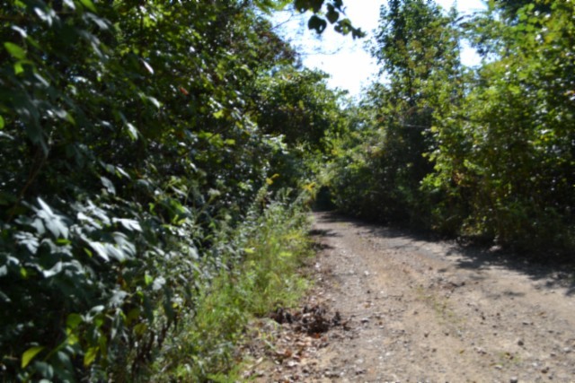 3 Ac Rock Springs Rd Property Photo 4
