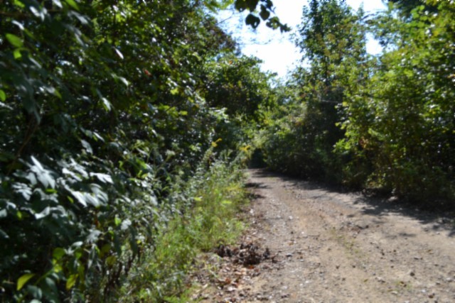 3 Ac Rock Springs Rd Property Photo 5