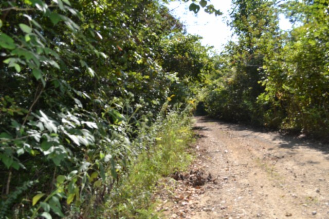 3 Ac Rock Springs Rd Property Photo 6
