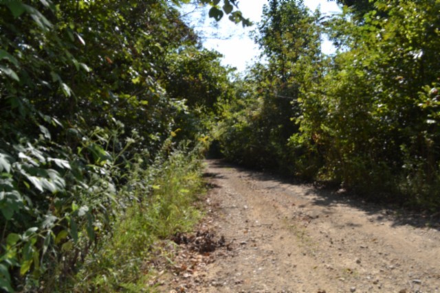 3 Ac Rock Springs Rd Property Photo 7