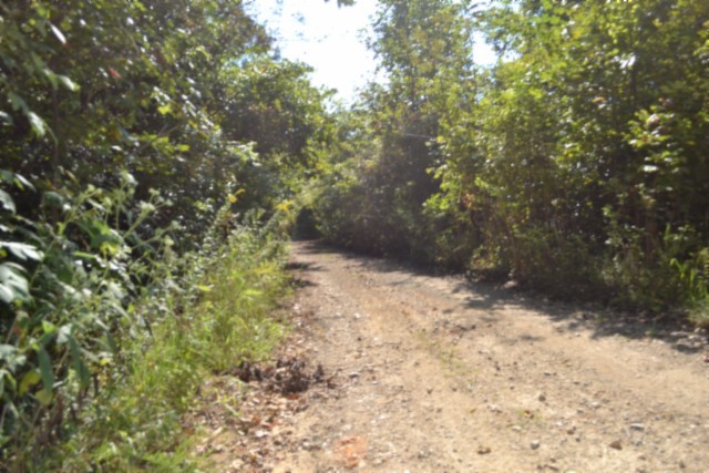 3 Ac Rock Springs Rd Property Photo 8