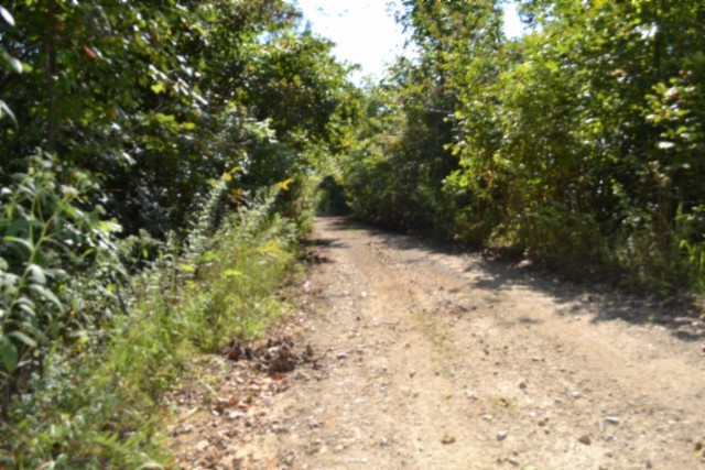 3 Ac Rock Springs Rd Property Photo 9