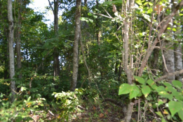 3 Ac Rock Springs Rd Property Photo 10