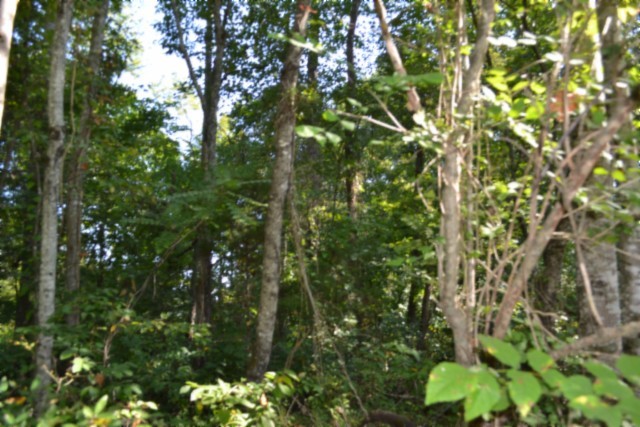 3 Ac Rock Springs Rd Property Photo 11