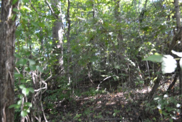3 Ac Rock Springs Rd Property Photo 12