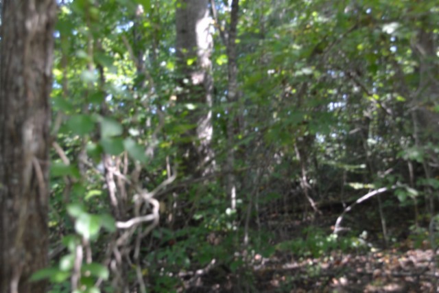 3 Ac Rock Springs Rd Property Photo 13