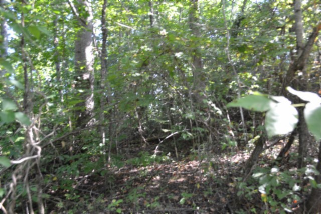 3 Ac Rock Springs Rd Property Photo 14