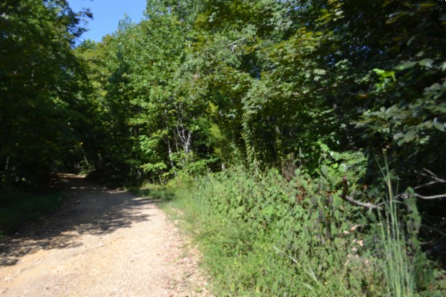 3 Ac Rock Springs Rd Property Photo 19