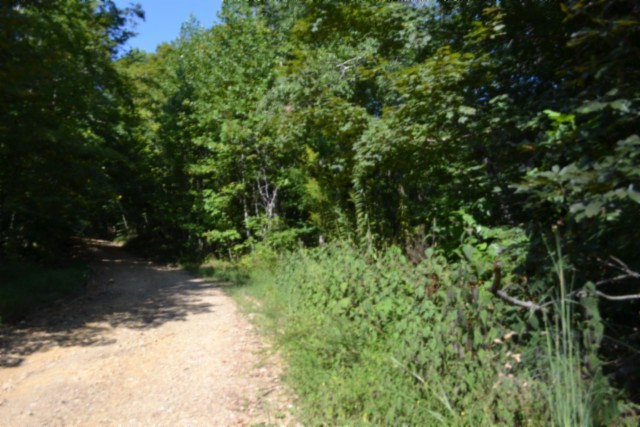 3 Ac Rock Springs Rd Property Photo 21