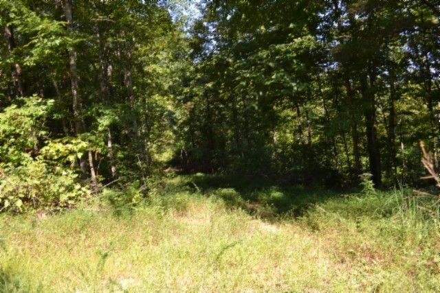 3 Ac Rock Springs Rd Property Photo 22