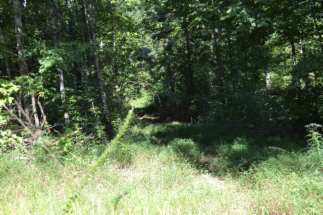 3 Ac Rock Springs Rd Property Photo 23