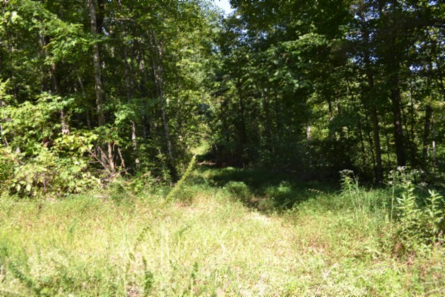 3 Ac Rock Springs Rd Property Photo 24