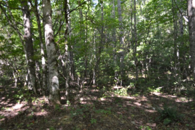 3 Ac Rock Springs Rd Property Photo 26