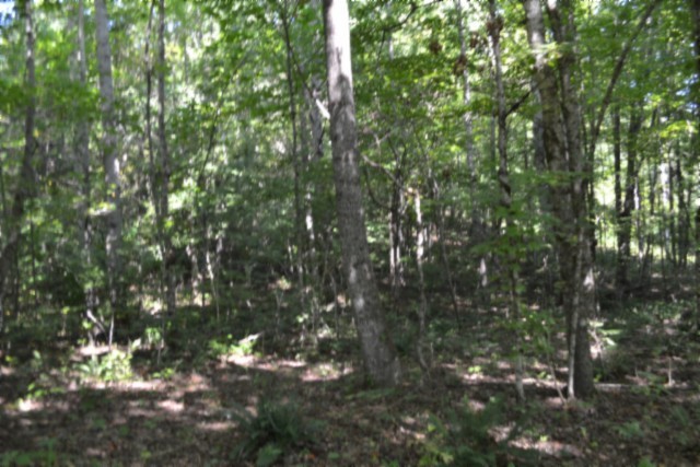 3 Ac Rock Springs Rd Property Photo 27