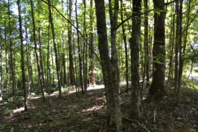 3 Ac Rock Springs Rd Property Photo 28
