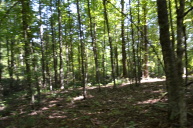 3 Ac Rock Springs Rd Property Photo 30