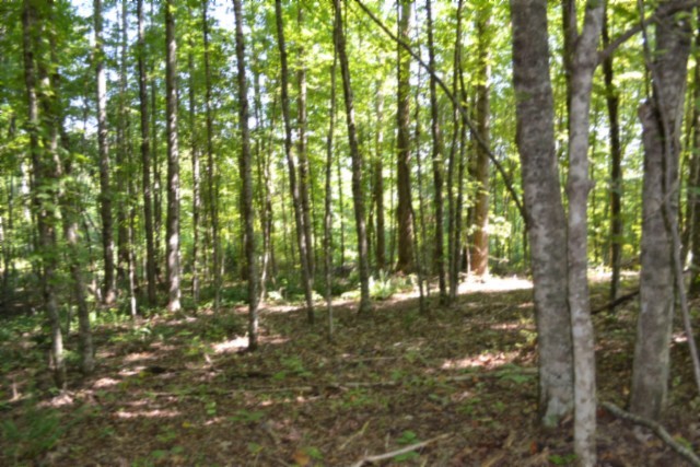 3 Ac Rock Springs Rd Property Photo 31
