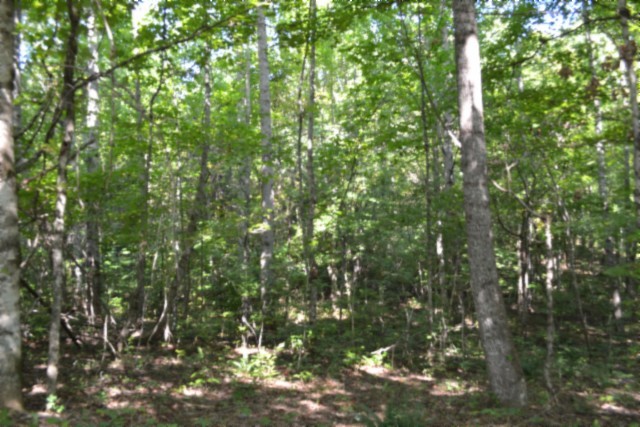 3 Ac Rock Springs Rd Property Photo 33