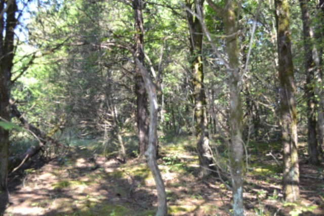 3 Ac Rock Springs Rd Property Photo 35