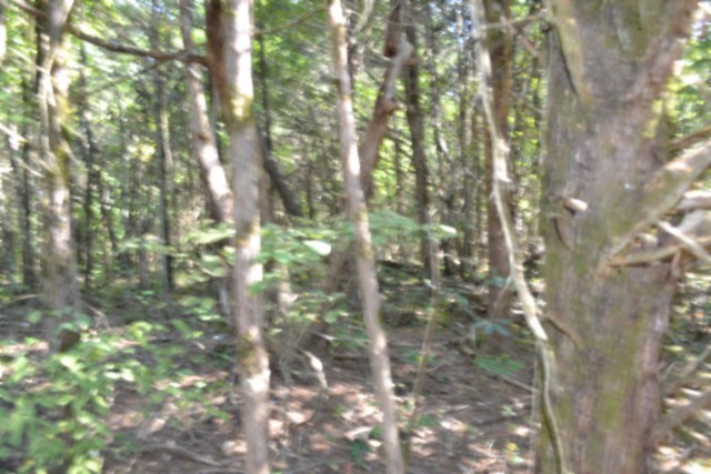 3 Ac Rock Springs Rd Property Photo 36